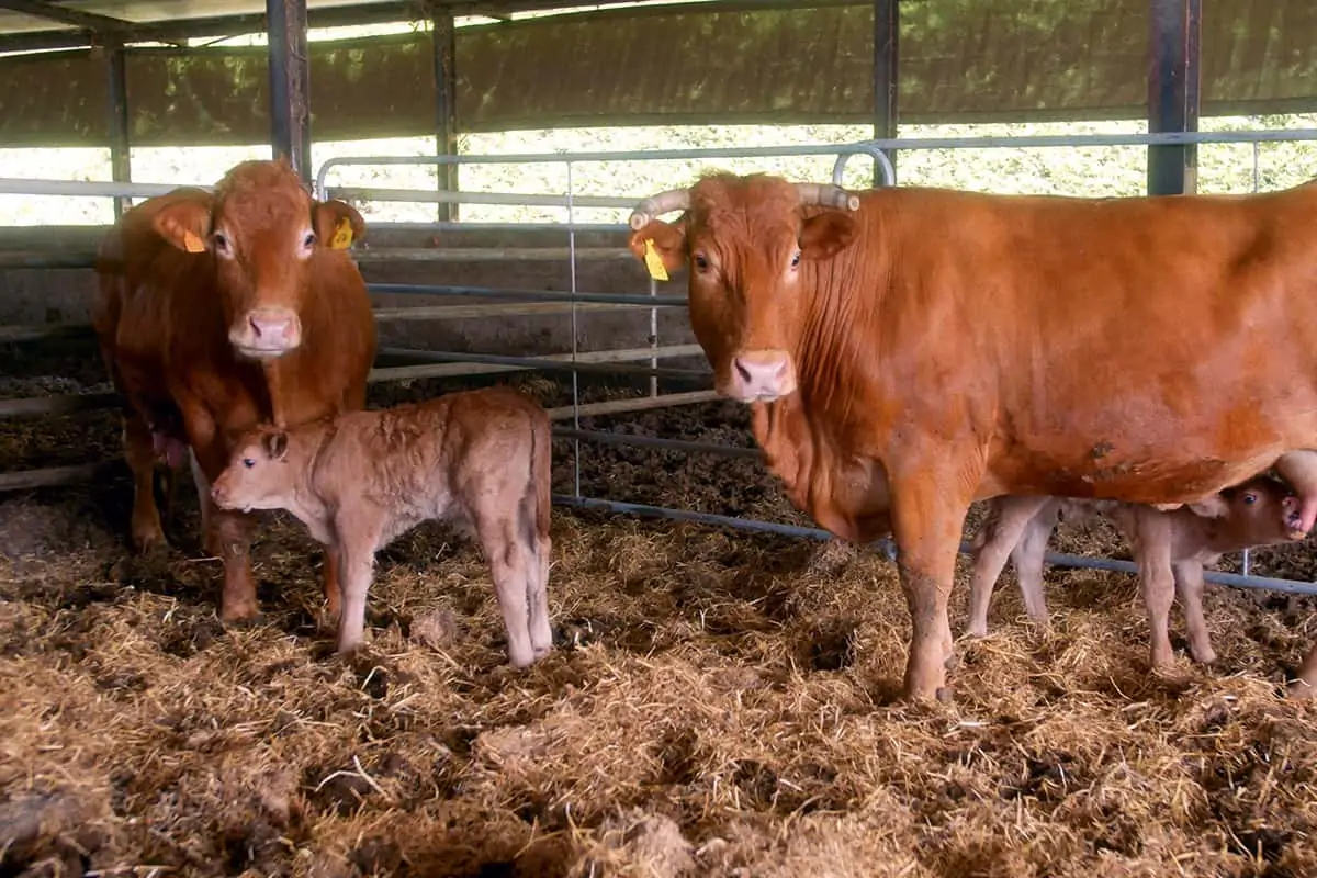 mr-blog-2021_03_11-feat