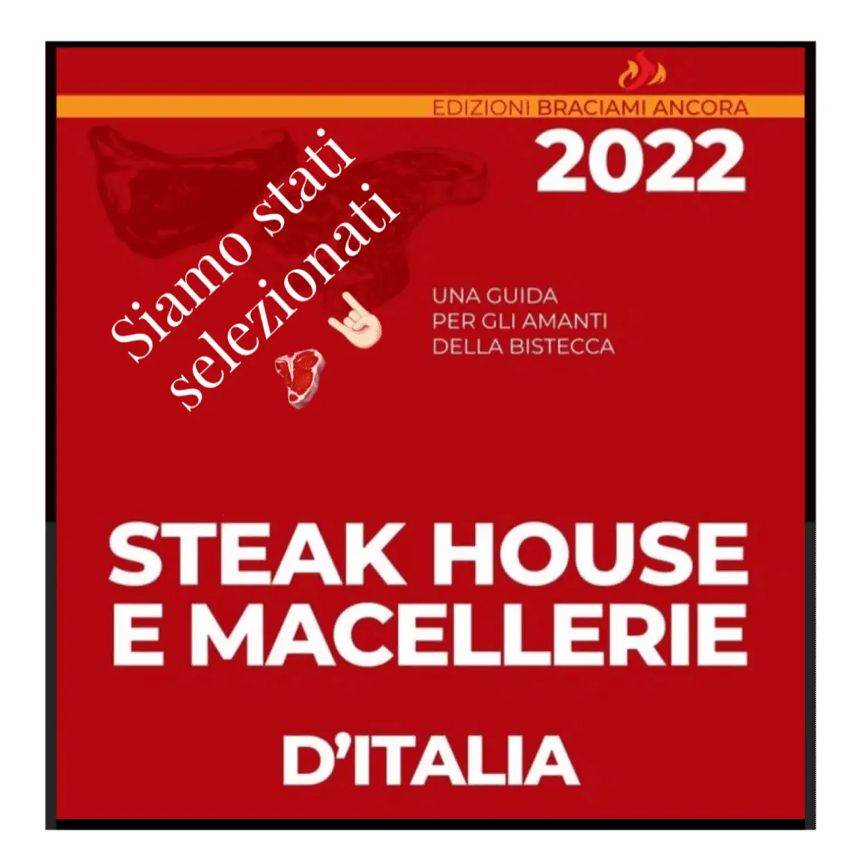 Copertina Guida Braciamiancora Copertina Guida Braciamiancora